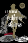 A Gathering of Shadows: Collector's Edition - Book
