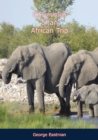 Chronicles of an African Trip - eBook
