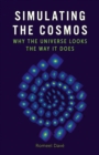Simulating the Cosmos : Why the Universe Looks the Way It Does - eBook