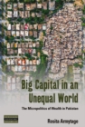 Big Capital in an Unequal World : The Micropolitics of Wealth in Pakistan - eBook