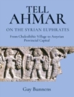 Tell Ahmar on the Syrian Euphrates : From Chalcolithic Village to Assyrian Provincial Capital - Book