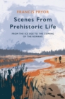 Scenes from Prehistoric Life : From the Ice Age to the Coming of the Romans - Book