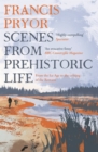 Scenes from Prehistoric Life : From the Ice Age to the Coming of the Romans - Book