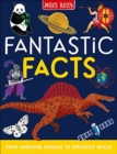 Fantastic Facts - Book