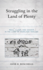Struggling in the Land of Plenty : Race, Class, and Gender in the Lives of Homeless Families - eBook