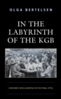 In the Labyrinth of the KGB : Ukraine's Intelligentsia in the 1960s–1970s - Book