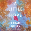 A Little Hope : A Novel - eAudiobook