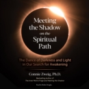 Meeting the Shadow on the Spiritual Path : The Dance of Darkness and Light in Our Search for Awakening - eAudiobook