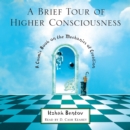 A Brief Tour of Higher Consciousness : A Cosmic Book on the Mechanics of Creation - eAudiobook