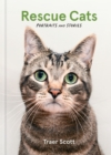 Rescue Cats : Portraits and Stories - Book