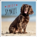 Love is a Spaniel : A Dog-Tastic Celebration of the World s Most Lovable Breed - eBook