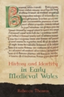 History and Identity in Early Medieval Wales - eBook