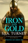 Iron and Gold - eBook