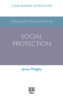 Advanced Introduction to Social Protection - eBook