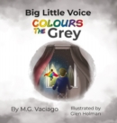 Big Little Voice : Colours the Grey - Book