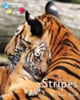 Stripes : Phonics Phase 1/Lilac - Book