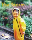 The Storm : Lilac - Book