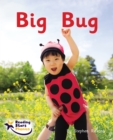 Big Bug : Phase 2 - Book