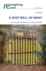 A Deep Well of Want : Visualising the World of John McGahern - Book