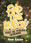 Find the Dragon! Lost in Welsh Legends - Book