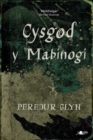 Cysgod y Mabinogi - Book