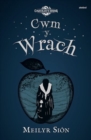 Chwedlau'r Ddraig: Cwm y Wrach - eBook