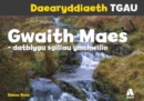 Daearyddiaeth TGAU: Gwaith Maes - Datblygu Sgiliau Ymchwilio - eBook