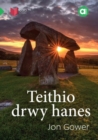 Cyfres Amdani: Teithio drwy Hanes - eBook