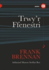 Cyfres Amdani: Trwy'r Ffenestri - eBook