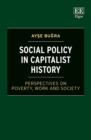 Social Policy in Capitalist History : Perspectives on Poverty, Work and Society - eBook