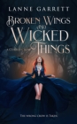 Broken Wings and Wicked Things : A YA Fantasy Romance - eBook