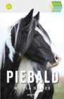 Piebald - Book