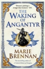 The Waking of Angantyr - Book