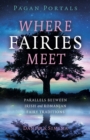 Pagan Portals - Where Fairies Meet : Parallels between Irish and Romanian Fairy Traditions - eBook