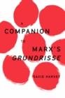 Companion to Marx's Grundrisse - eBook
