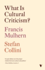 What Is Cultural Criticism? - Book