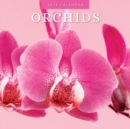 Orchids 2024 Square Wall Calendar - Book