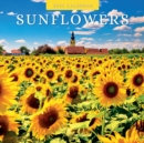 Sunflowers 2024 Square Wall Calendar - Book