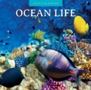 Ocean Life 2024 Square Wall Calendar - Book