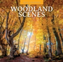 Woodland Scenes 2024 Square Wall Calendar - Book