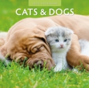 Cats & Dogs 2025 Square Wall Calendar - Book