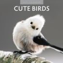 Cute Birds 2025 Square Wall Calendar - Book