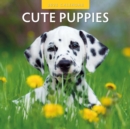 Cute Puppies 2025 Square Wall Calendar - Book