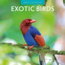 Exotic Birds 2025 Square Wall Calendar - Book