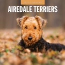 Airedale Terriers 2025 Square Wall Calendar - Book