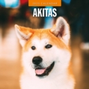 Akitas 2025 Square Wall Calendar - Book