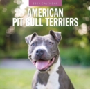 American Staffordshire Terriers 2025 Square Wall Calendar - Book