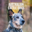 Australian Cattle Dogs 2025 Square Wall Calendar - Book