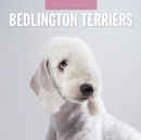 Bedlington Terriers 2025 Square Wall Calendar - Book