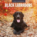 Black Labradors 2025 Square Wall Calendar - Book